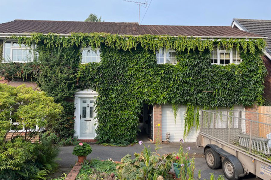 House covered in climbing house plant in Staffordshire